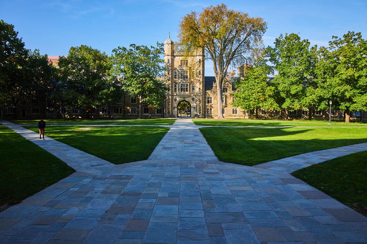 patheway through the trees to a university building